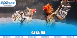 đá gà tre ảnh đại diện